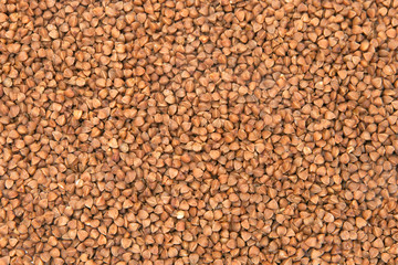 Buckwheat background