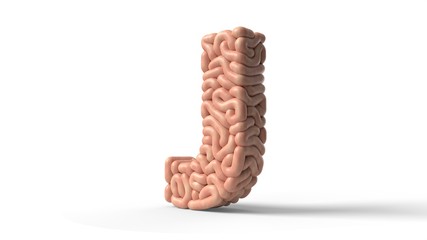 human brain in shape of letter J. 3D illustration