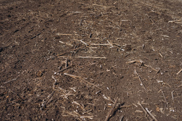 autumn motherland after harvest