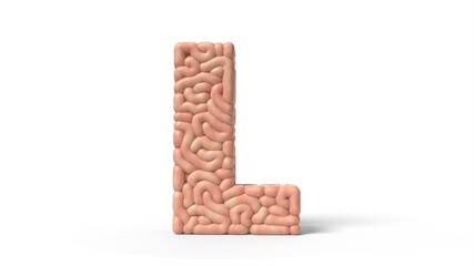 human brain in shape of letter L. 3D illustration