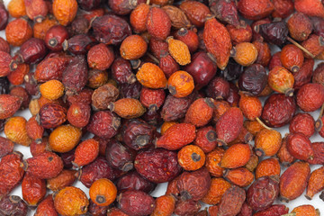 dry dog-rose fruits, background