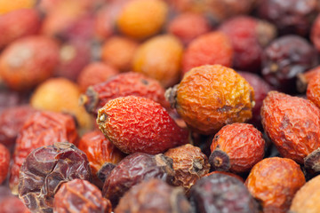 Rosehips, macro