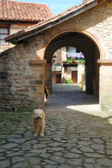 Perro de pueblo medieval