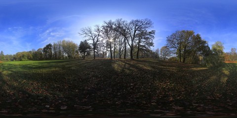 Sunny autumn Park HDRI Panorama