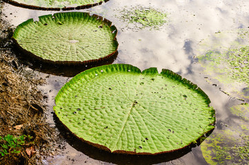 Brasilien Südamerika © Manuela