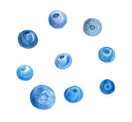 watercolor blue berries set isolated on white background