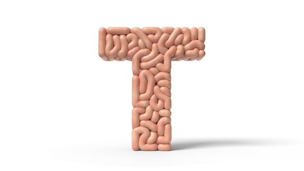 human brain in shape of letter T. 3D illustration