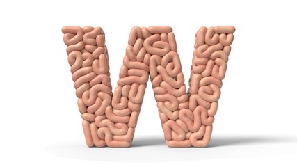 human brain in shape of letter W. 3D illustration