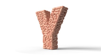 human brain in shape of letter Y. 3D illustration