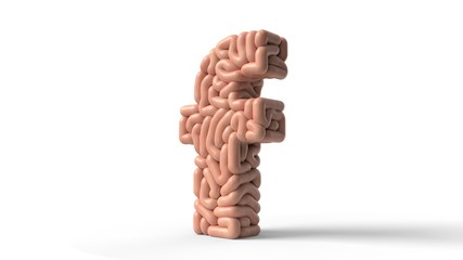 human brain in shape of letter f. 3D illustration