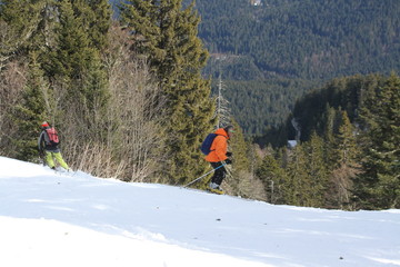 Skiing in the Chartreuse mountain