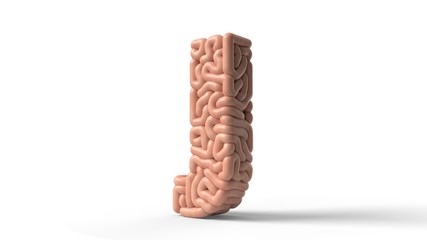 human brain in shape of letter j. 3D illustration