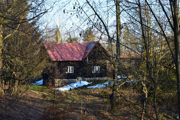 Fototapeta na wymiar old wooden house in the forest during winter sunny day