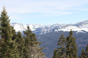 Photography that is showing the Chartreuse mountain during the winter season (Col de Porte)