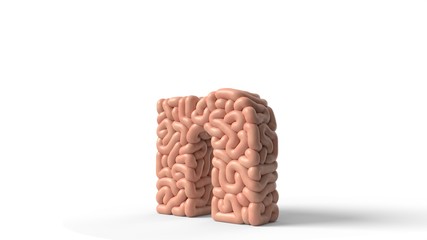 human brain in shape of letter n. 3D illustration