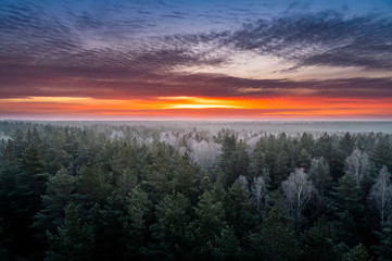 Naklejka na ściany i meble Colourful sunrise sky with frosty forest in foreground during winter morning.