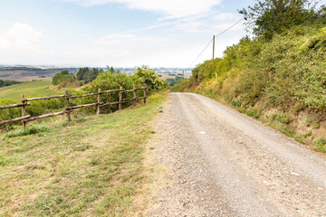 Fototapeta na wymiar a gravel road in the countryside next to Torrenieri (Montalcino), Province of Siena, Tuscany, Italy