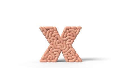 human brain in shape of letter x. 3D illustration