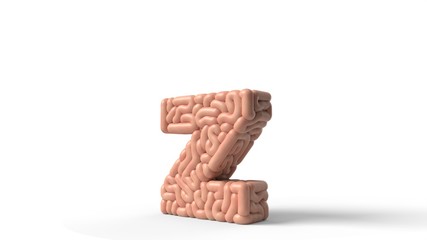 human brain in shape of letter z. 3D illustration