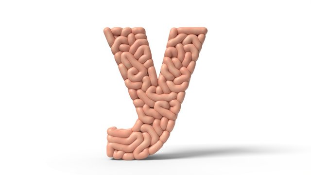 human brain in shape of letter y. 3D illustration