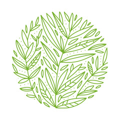 Green foliage. Vector botanical round sketch of tea buch, branch, leaves on white background. Outlined design in circle. Hand drawn vintage illustration. Organic drink