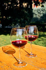 Two Glasses of Fresh Red Wine for Celebration