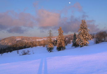 Zima pod Tatrami - Gmina Bukowina Tatrzańska