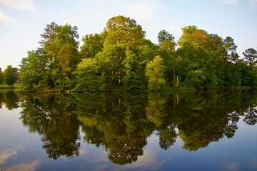 Fototapeta premium Reflection trees water sky green landscape autumn clouds park outdoors mirror spring view scene