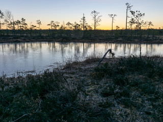 Obraz premium beautiful bog landscape at sunrise