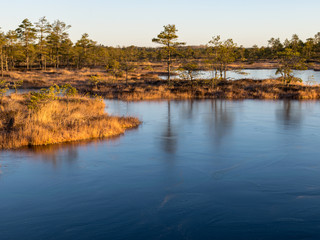 beautiful bog landscape in the morning