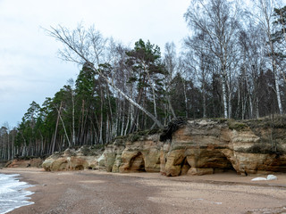 landscape with sandstone cliffs