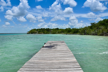 Fototapeta premium a wood way platform in a turquoise water and nature paradise background