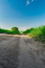 Caminos Rurales de Juan Jose Castelli - Chaco - Argentina
