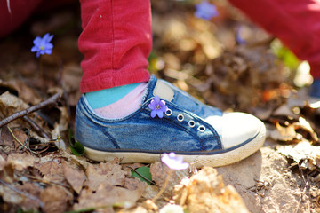Close-up of girls shoes in the woods on beautiful sunny spring day. Child picking the first flowers of spring outdoors.