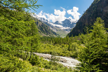Fototapeta na wymiar Mountain stream flowing through lush green valley.