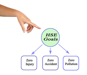 Three Goals of HSE Program