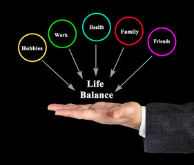  Life Balance: Hobbies,.Work,.Health,.Family, and.Friends