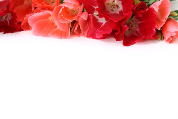 イロマツヨイグサの花束