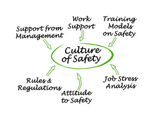 Components of Culture of Safety