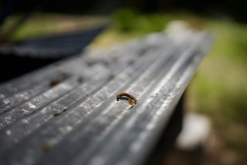 Corrugated metal bokeh seed