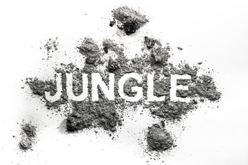 Jungle word written in ash, dirt, dust as rainforest environment problem, dead burnt tree and forest destroy, global warming and nature ecology deforestation concept