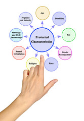Protected characteristics