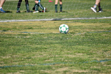 Soccer Ball and Goal