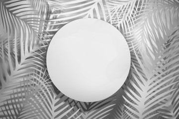 Abstract white tropical foliage mockup with circle and leaves in white gray color. Image with copy blank space.