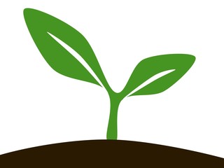 Cartoon seedling on white background