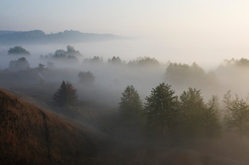Early morning in nature, fog among hills and trees.