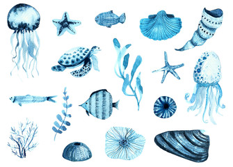 Watercolour painted indigo ocean life fish and seashells set. Seamless pattern