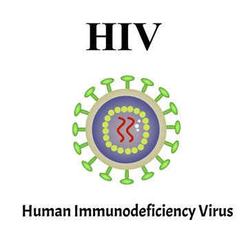 HIV virus structure. Viral infection HIV, AIDS. Sexually transmitted diseases. Infographics. Vector illustration on isolated background.