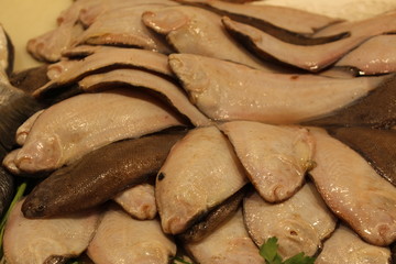 Fresh Wedge Sole fish (Dicologlossa Cuneata) on the fish market counter.