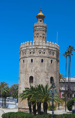 Fototapeta na wymiar Torre del Oro -Tower of Gold on the bank of the Guadalquivir river, Seville, Spain